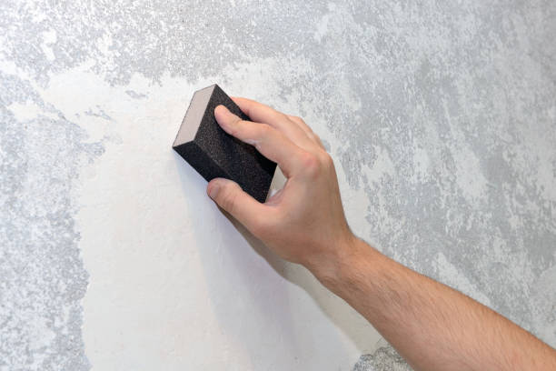 Mold Remediation for Rental Properties in Parks, AZ