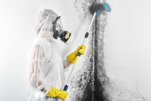 Best Mold Remediation for Healthcare Facilities  in Parks, AZ