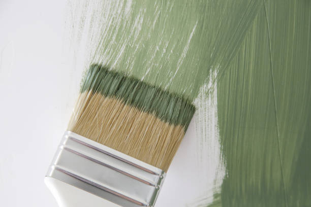 Best Emergency Mold Remediation  in Parks, AZ