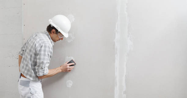 Best Black Mold Removal  in Parks, AZ