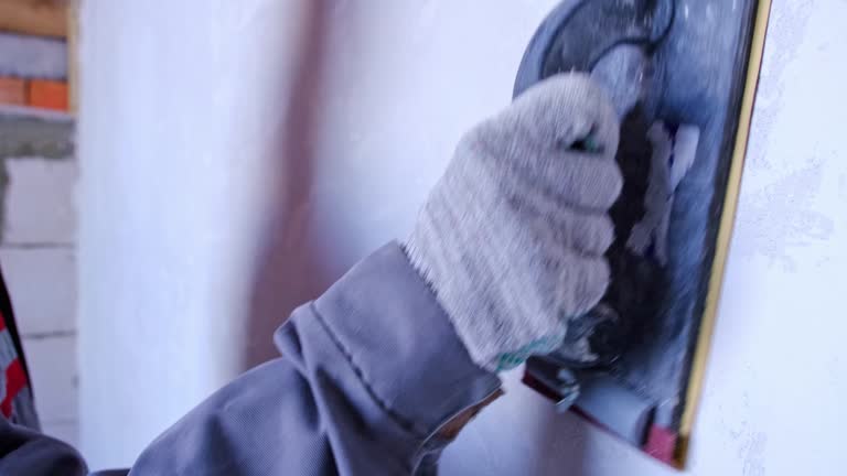 Best Mold Remediation for Vacation Homes  in Parks, AZ