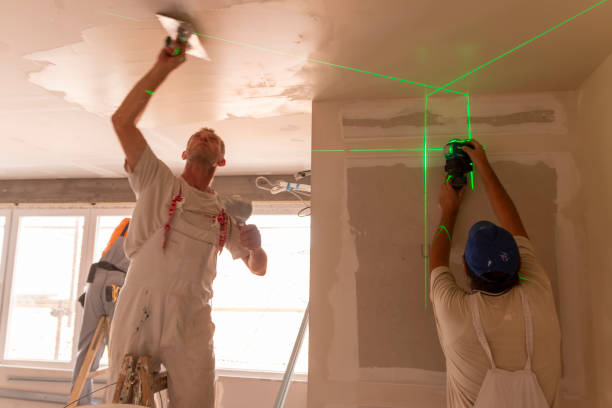 Mold Documentation for Insurance Claims in Parks, AZ