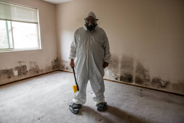 Best Airborne Mold Testing  in Parks, AZ