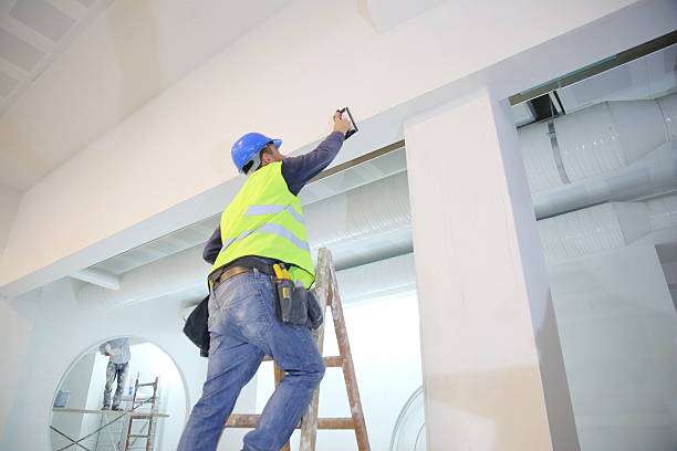Best Mold Odor Removal Services  in Parks, AZ